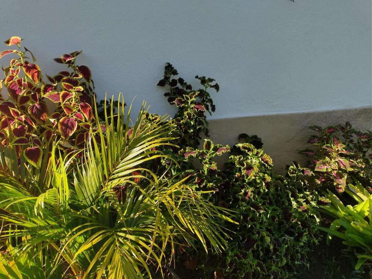 Sitio Jaqueiras Country house *