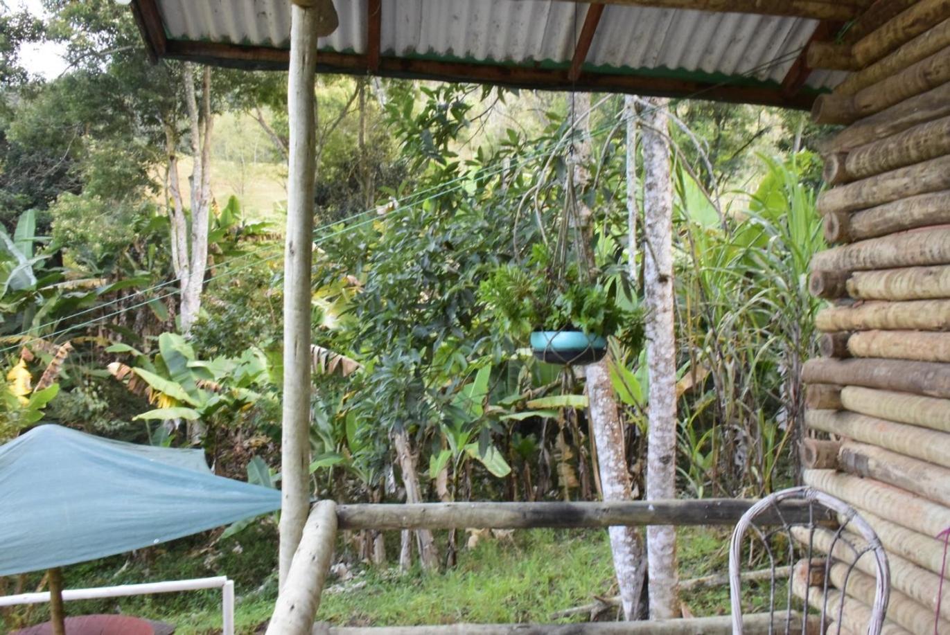 Sitio Jaqueiras * Bom Jardim (Rio de Janeiro)